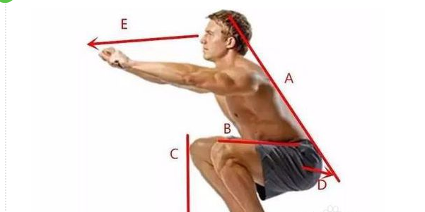 1611062738605088.png 深蹲1.png