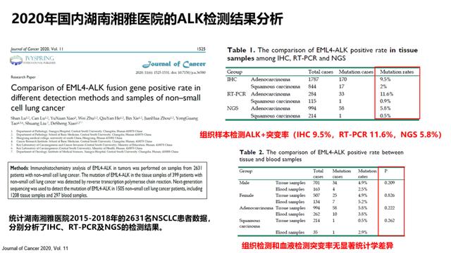 ALK的突变率或许比我们想象的更高