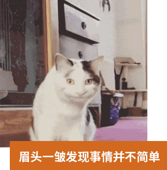 1545006640275942.gif