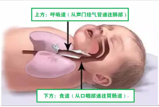 1587891554383231.png image.png