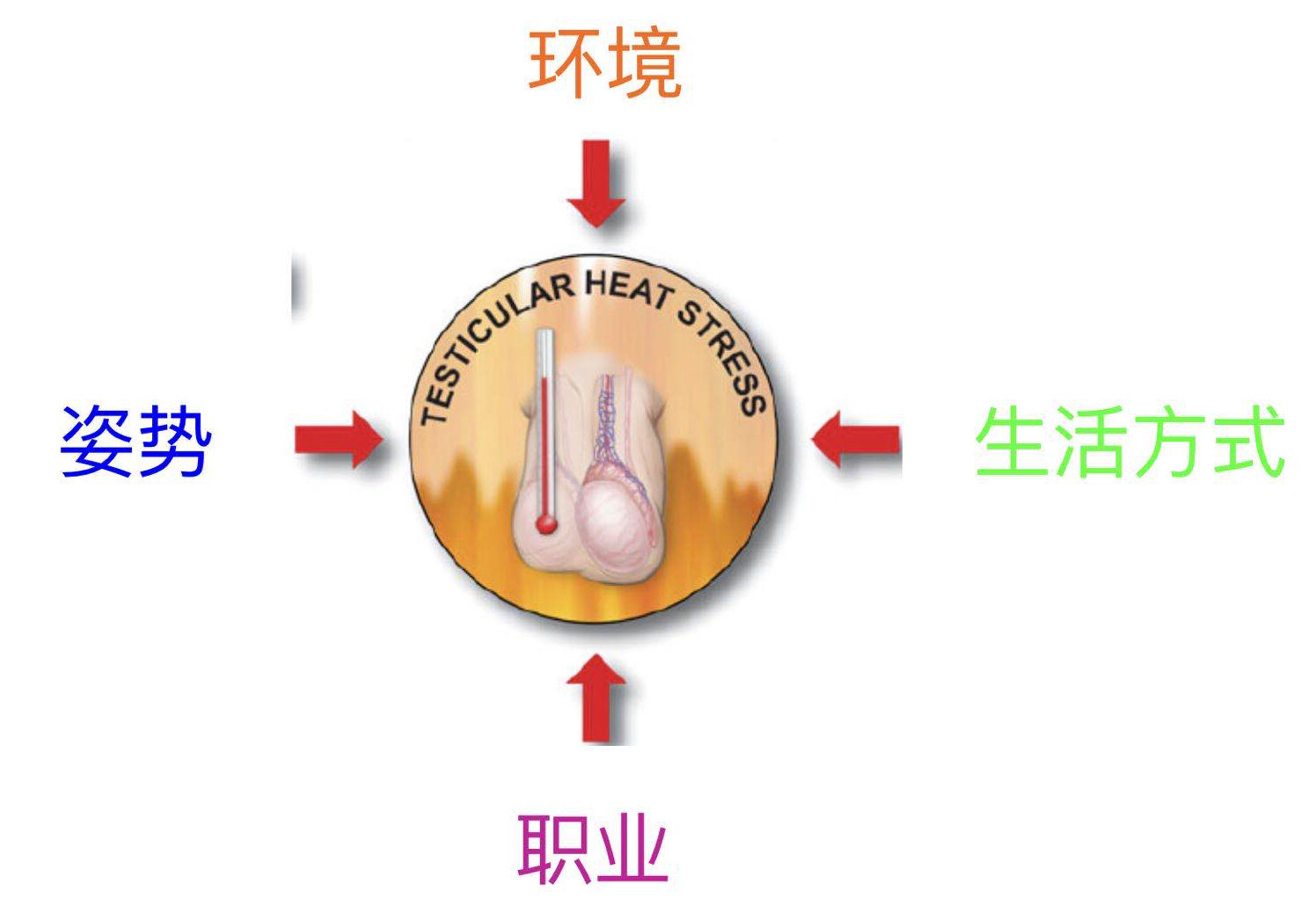 微信图片_20200907092802.jpg