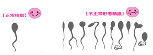 blob.png