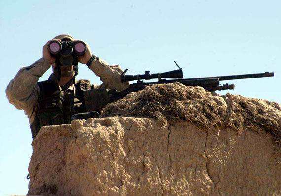 1501813766795546.jpg timg (3).jpg