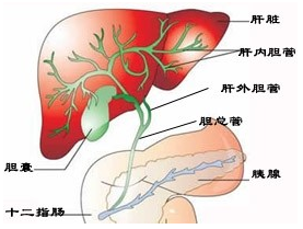 1520771283449592.png image.png
