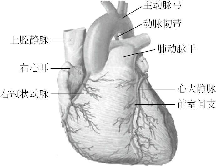 QQ图片20190306173804.jpg
