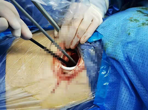 1623982364926852.png 1623982364926852.png