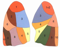 1623982394528781.png 1623982394528781.png