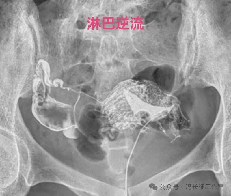 微信图片_20240224101326（2）.jpg