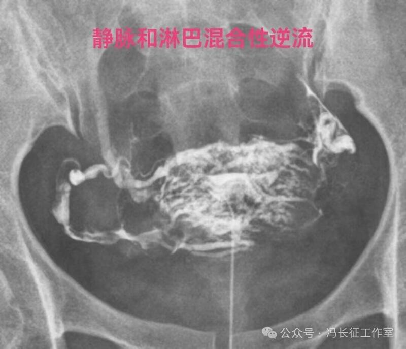 微信图片_20240224101359（4）.jpg