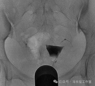 微信图片_20240223171216（3）.jpg