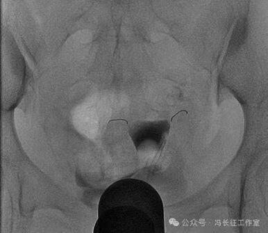 微信图片_20240223171250（4）.jpg