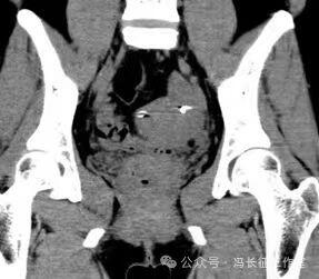 微信图片_20240223171515（8）.jpg