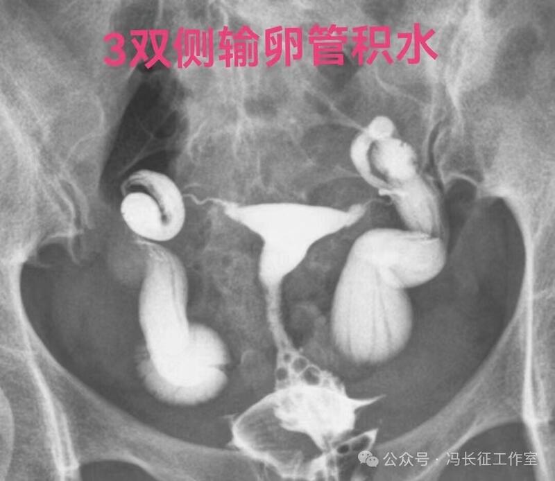 微信图片_20240221210334（3）.jpg