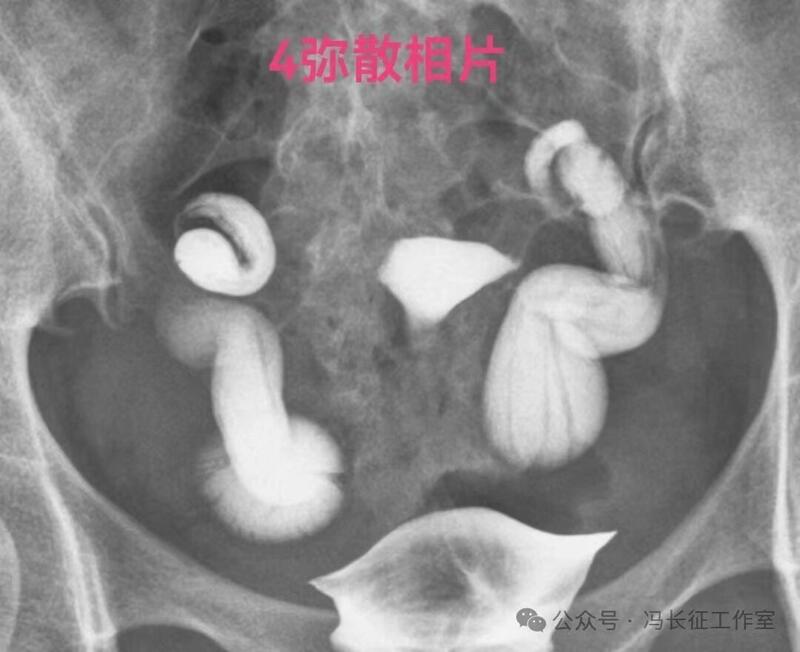 微信图片_20240221210412（4）.jpg