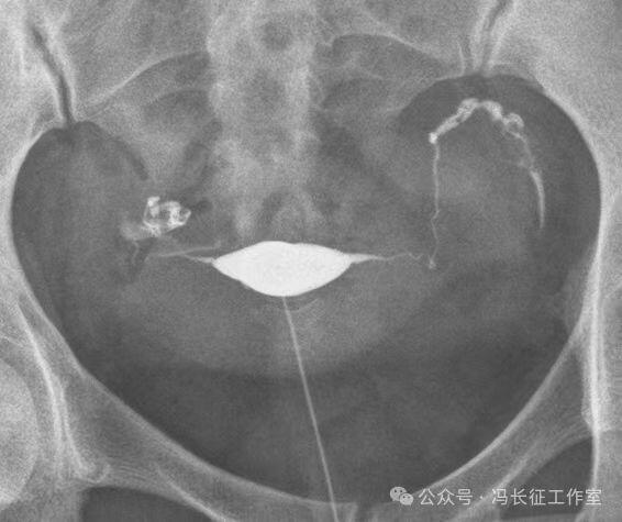 微信图片_20240215160222.jpg