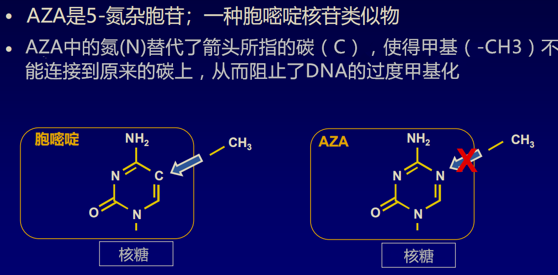 关于阿扎胞苷治疗MDS（骨髓增生异常综合症）
