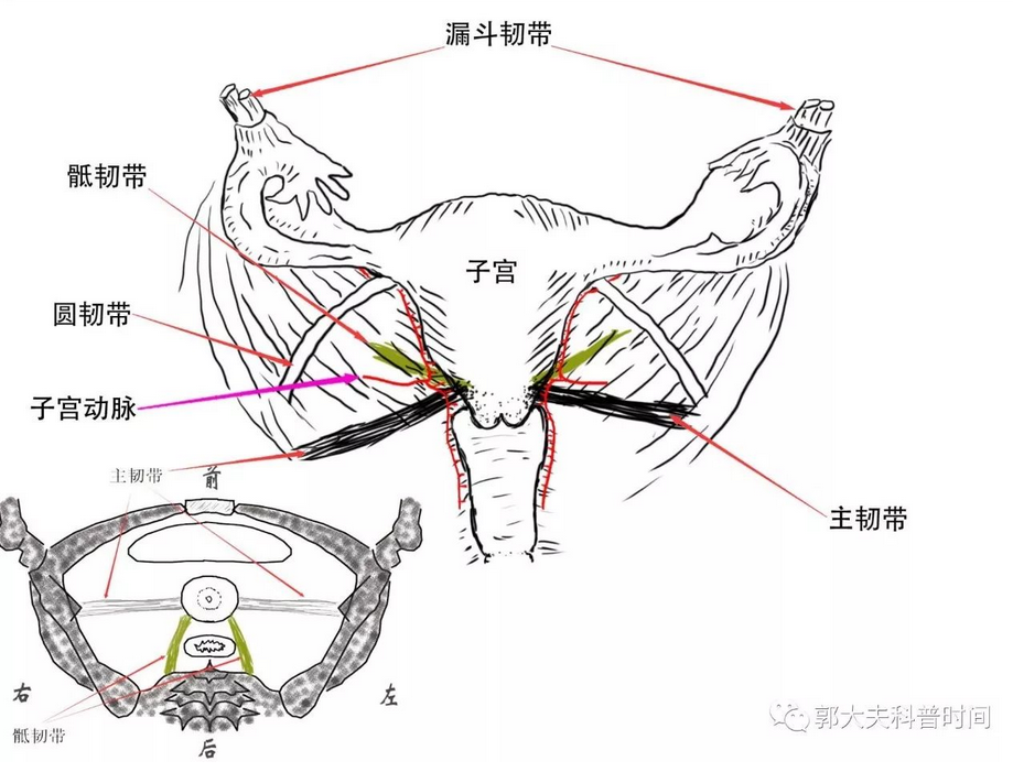 1507363922215205.png blob.png